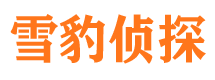 潼关市私家侦探